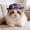 Multicolor216, variant on Tuvgenk Patriotic Pet Party Hat for Small Dog Cat Independence Day Celebration Accessory Holiday Photo Shooting Prop