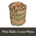 thumbnail image 2 of Field + Forest Mini Hay Bales, 2 of 10