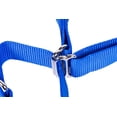 thumbnail image 5 of GoGo 15116 Small 0.63 X 14-17 In. Blue Martingale Collar, 5 of 9