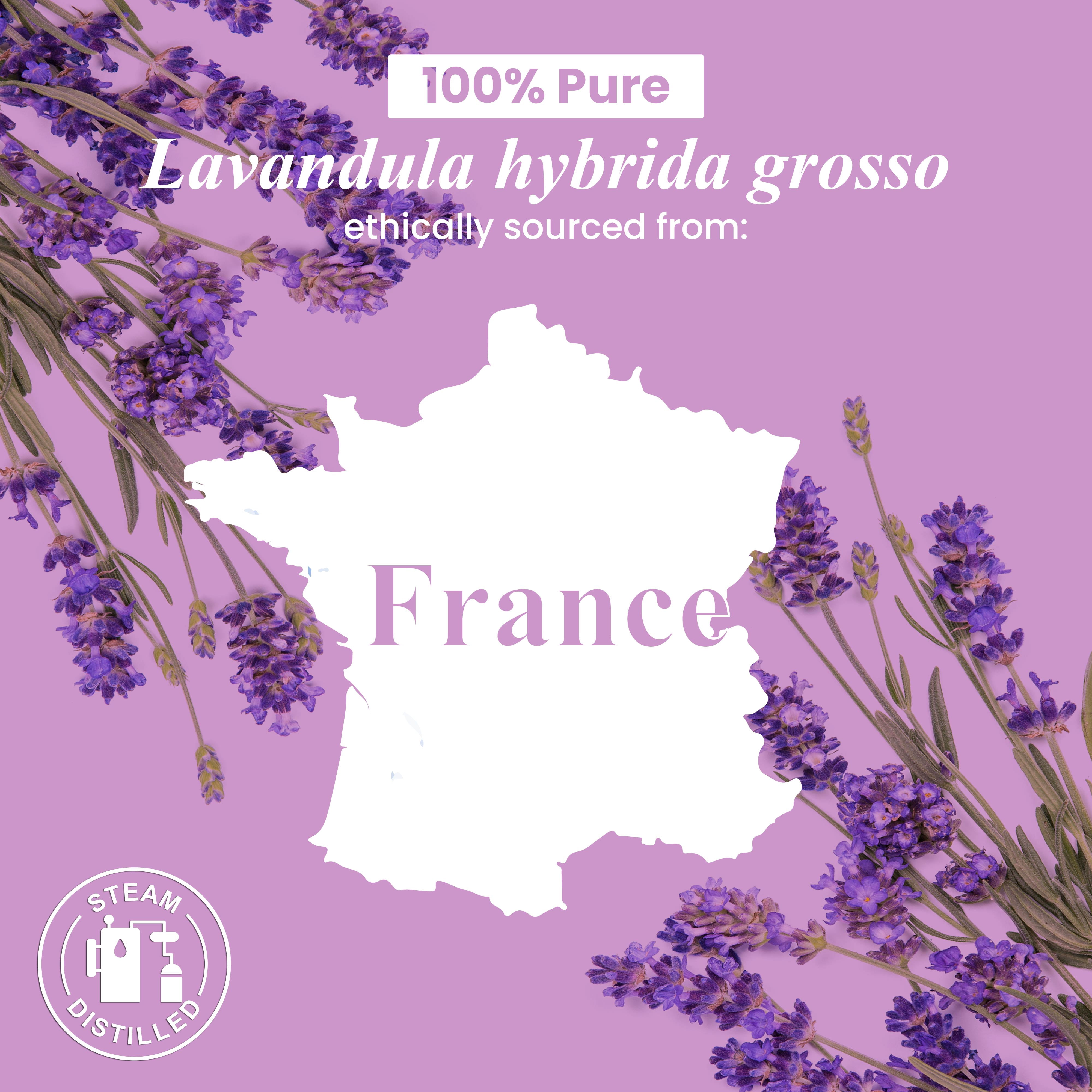 Handcraft Blends Lavender Essential Oil - 100% Pure and Natural - Premium Grade Essential Oil for Diffuser and Aromatherapy - 1 Fl Oz