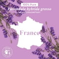 thumbnail image 7 of Handcraft Blends Lavender Essential Oil - Huge 4 Fl Oz - 100% Pure and Natural - Premium Grade with Glass Dropper, 7 of 7