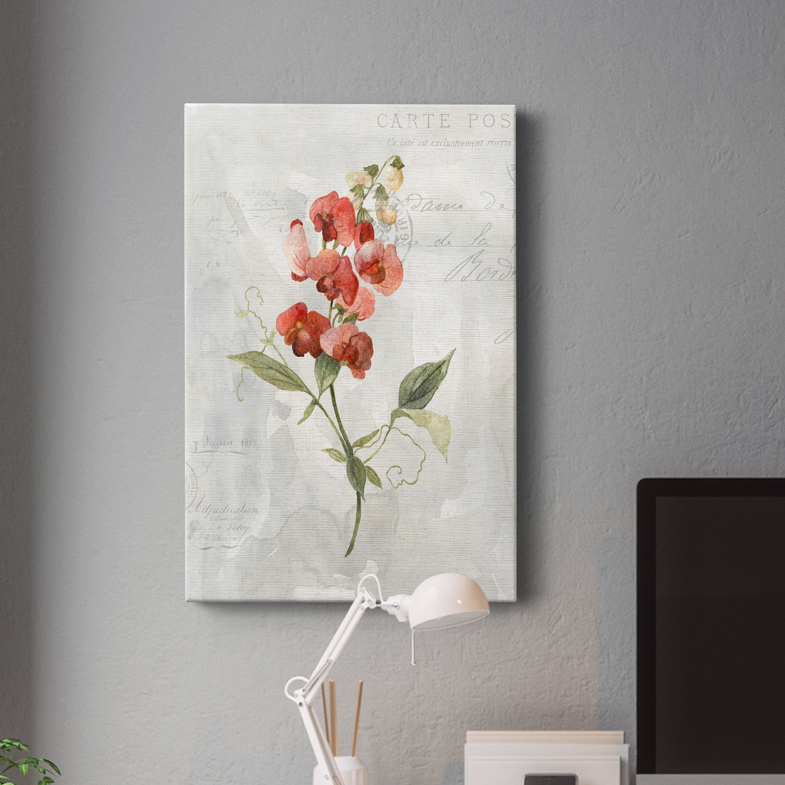 Linen Sweet Pea Premium Gallery Wrapped Canvas - Ready to Hang - 32 x 48