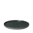 thumbnail image 1 of Blomus 63707 14 in. PILAR Serving Plate  Agave Green, 1 of 1