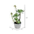 thumbnail image 2 of Vickerman 13.5" Artificial Green Succulent, Paper Pot., 2 of 2