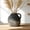 Black, variant on Rustic Antique Ceramic Vase with Handle,5.2 Inch Large Terracotta Flower Vase for Home Decor