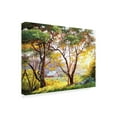 thumbnail image 2 of Trademark Fine Art 'Burnished Landscape' Canvas Art by Erin Dertner, 2 of 4