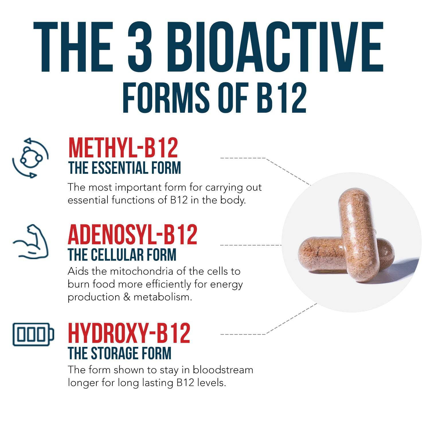 Triquetra Health BioActive B12: Vitamin B12 Plus L-Methylfolate