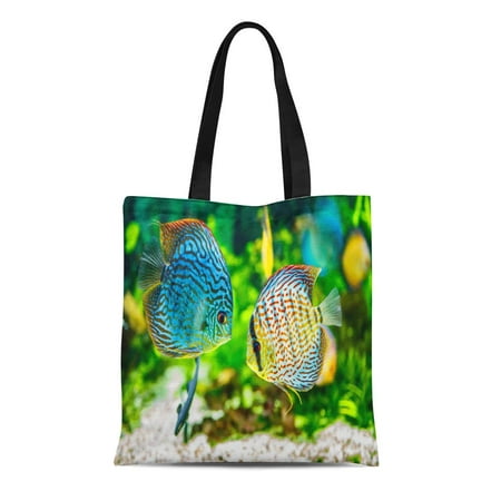 ASHLEIGH Canvas Tote Bag Blue Fish Symphysodon Discus in Aquarium on Green Colorful Reusable Shoulder Grocery Shopping Bags