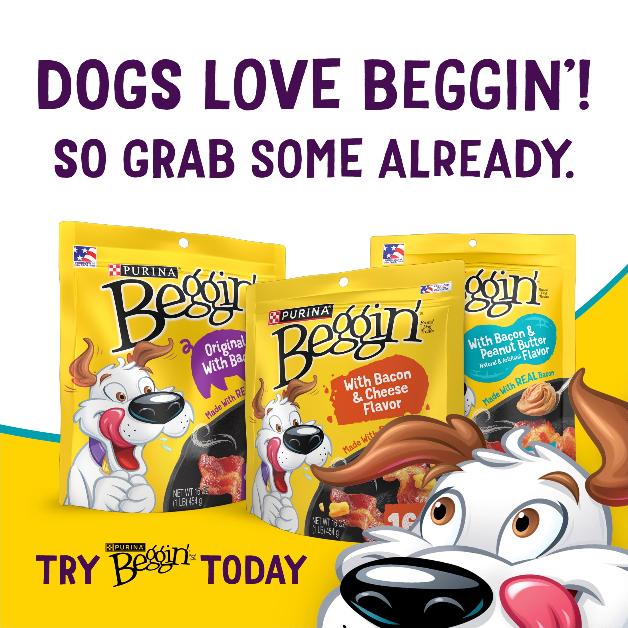 Purina Beggin' Flavor Stix Dog Treats with Real Bacon & Peanut Butter Tender Chews, 25 oz Pouch