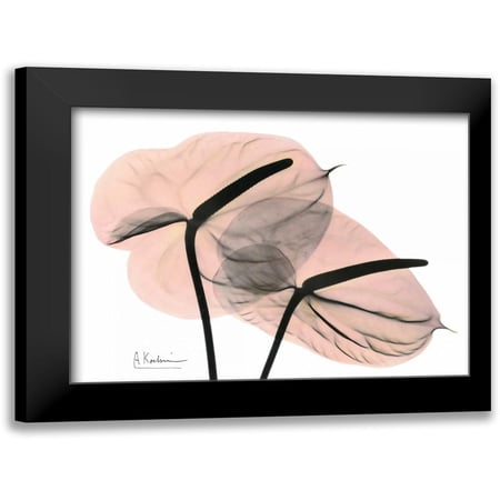 Koetsier, Albert 14x12 Black Modern Framed Museum Art Print Titled - Pink Anthurium