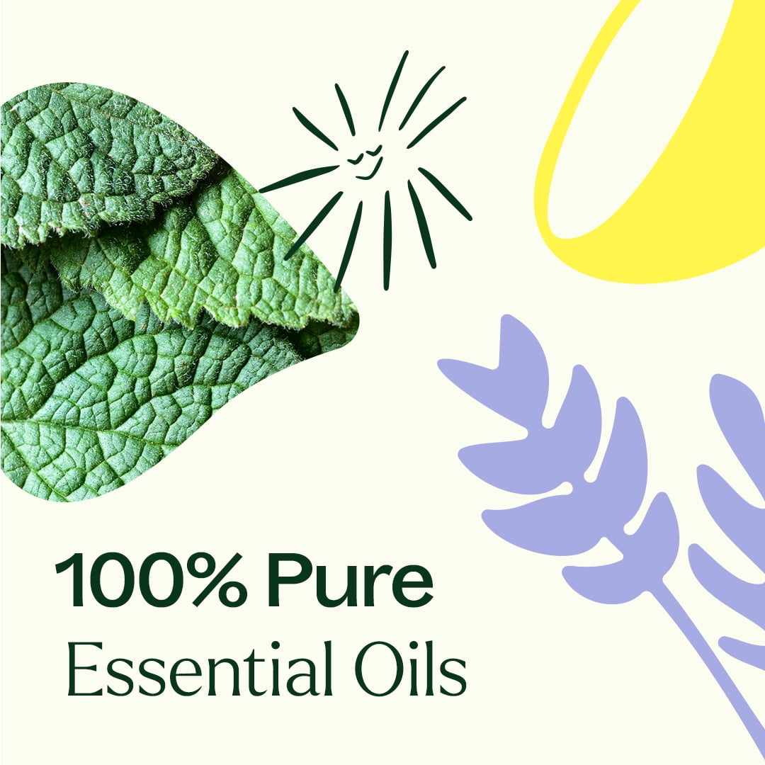 Plant Therapy Lemon, Lavender and Peppermint Essential Oil Set 10 mL (1/3 oz) 100% Pure, Undiluted, Natural Aromatherapy