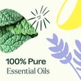 thumbnail image 5 of Plant Therapy Lemon, Lavender and Peppermint Essential Oil Set 10 mL (1/3 oz) 100% Pure, Undiluted, Natural Aromatherapy, 5 of 7