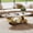Gold, variant on YWEN Modern Coffee Table, Faux Marble Top Tea Table with Stainless Steel Base, Center Cocktail Table for Living Room, Apartment, Easy Assembly,49.20 Inch Oval