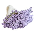 thumbnail image 2 of Kit de crochet de manta de ramo decoración de bricolaje kit decorativo de tejido decorativo kit de inicio de crochet para regalos de aniversario de Violeta, 2 of 8