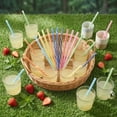 thumbnail image 3 of 12 PCS Reusable Plastic Straws for Tumblers, Hard Plastic Drinking Straws with Stopper Rings, BPA-Free Colorful Smoothie Straws for Party Supplies, 9 Inch D, 3 of 6