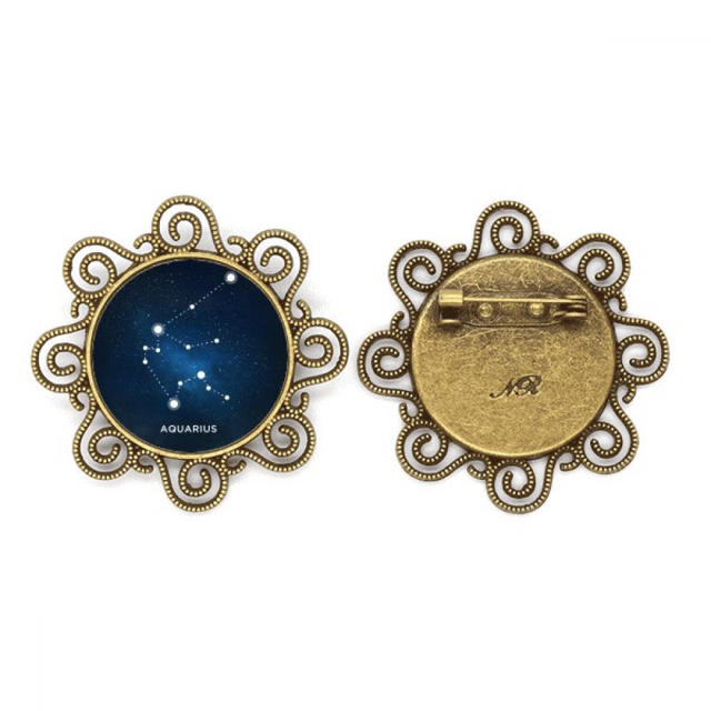 La constelación de acuario, signo del Zodiaco Broche de flores, regalo de joyería para mujeres y niñas Unbranded M