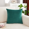 thumbnail image 2 of Dvumao 17.7x17.7 Inch Velvet Throw Pillow for Living Room, Decorative Cushion for Sofa and Bed, Includes Insert, 2 of 7