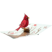 Cardinal Bird - 3D Pop Up Greeting Card for All Occasions - Love, Birthday, Christmas, Goodluck, Congrats, Get Well -
