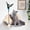 1-Wood, variant on CBJCBJ Solid Wood Cat Wall Mounts Shelves Perches, Sleeping Playing Lounging Climbing Wall-mounted Cat Tree House for Cat