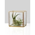 thumbnail image 2 of Serene Spaces Living Square Gold Lantern, Measures 5 inc, 2 of 3