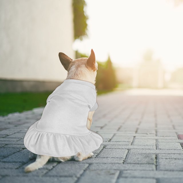 Stylish Summer Pet Dress with Ruffled and Puppies
