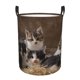 thumbnail image 1 of Fotbe Cat Family Cesto de Ropa con Asas, Cesto Impermeable de Gran Capacidad, Bolsa de Lavado para Dormitorio, Cesto de Ropa con Ruedas y Asas-Small, 1 of 6
