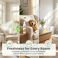 thumbnail image 4 of Air Scense Complete Air Care System Orange & Citrus – 2 Air Fresheners, 2 Toilet Pre‑Sprays, 1 Odor Eliminator, 4 of 5