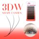 thumbnail image 1 of Pestañas FADVAN en forma de W 2D 3D 4D 5D 6D 7D 8D ventiladores de volumen prefabricados pestañas de visón sintético volumen brasileño pestañas YY suaves naturales, 1 of 5