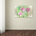 thumbnail image 4 of Trademark Fine Art "Three Pink Tulips" Canvas Art by Lois Bryan, 4 of 4