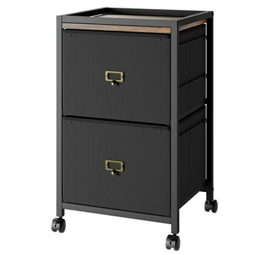 File Cabinet with 2 Drawer, Mobile Filing Cabinet Rolling Printer Stand for Home Office