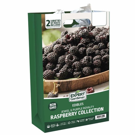 Expert Gardener Raspberry Collection #3 (Set of 2 Dormant Bare Roots) Full Sun, Multi-Color, Perennial