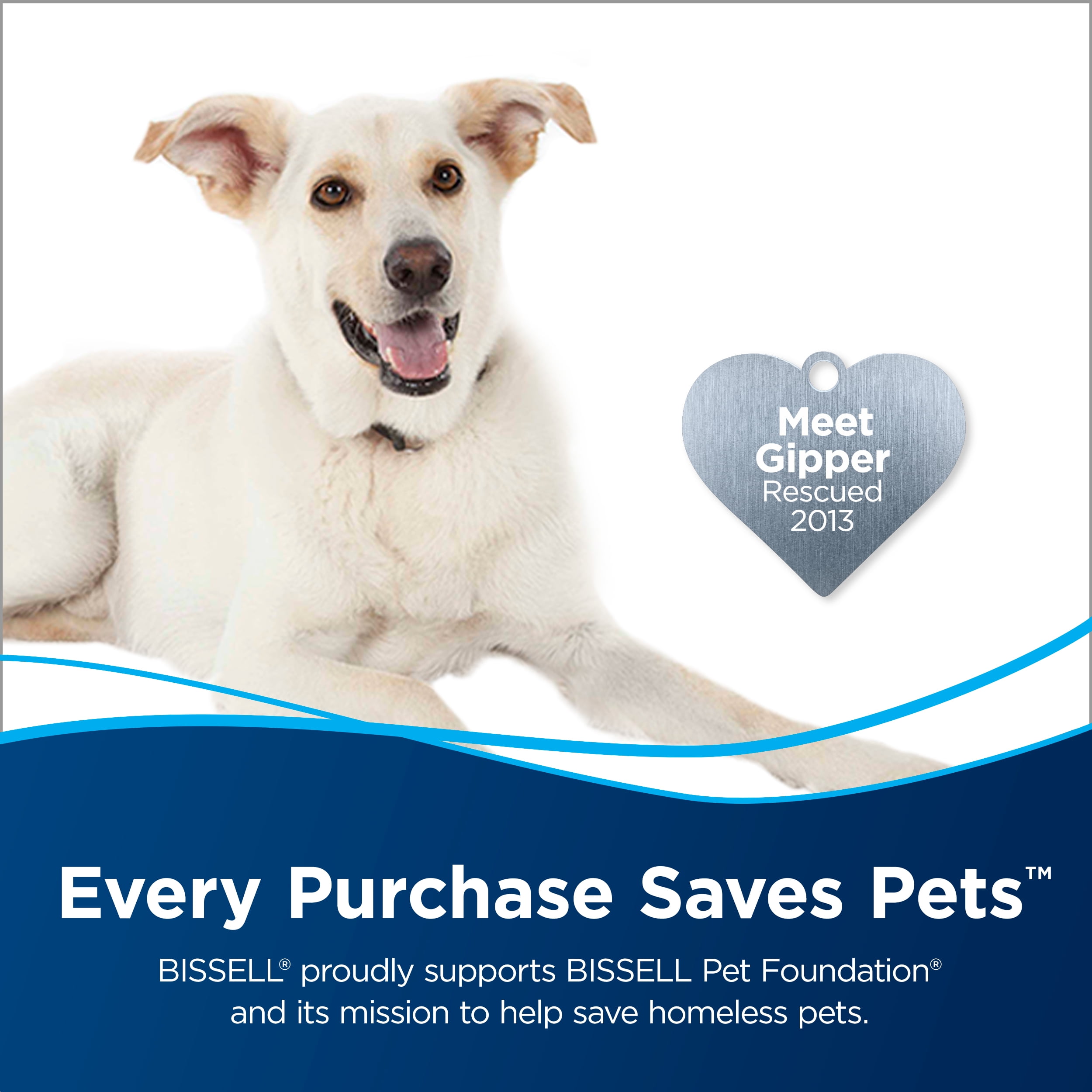 5 XBKPLO Filters for Senses Fountains and Cat /& Dog Automatic Flower Water Dispensers Pet Fountains