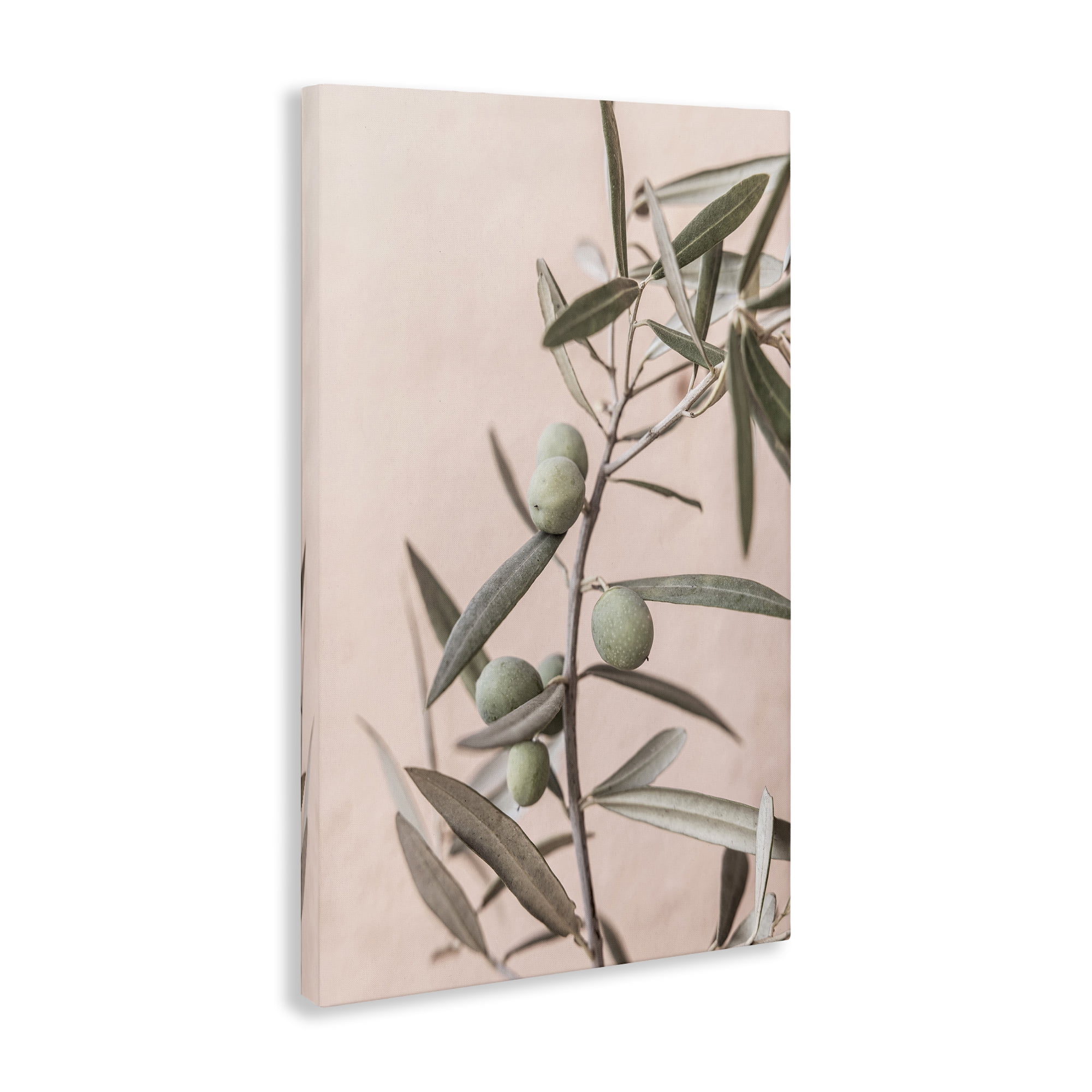 Stupell Industries Spanish Olive Branch Plants & Flowers Painting Wrapped Canvas Art Print Wall Art, 20 x 30