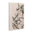 thumbnail image 4 of Stupell Industries Spanish Olive Branch Plants & Flowers Painting Wrapped Canvas Art Print Wall Art, 20 x 30, 4 of 8