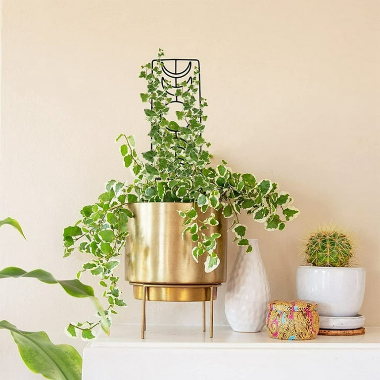 Moon Phase Plant Trellis for Climbing Plant Outdoor Indoor 14.1inch Small  Garden Metal Wire Trellis for VineIvy Flower Potted Plant Support -  Walmart.com