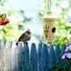 thumbnail image 4 of Columpio Colgante De Madera Para Pájaros Colibríes Para Jardín Decoración Para Exteriores Del Hogar, 4 of 8