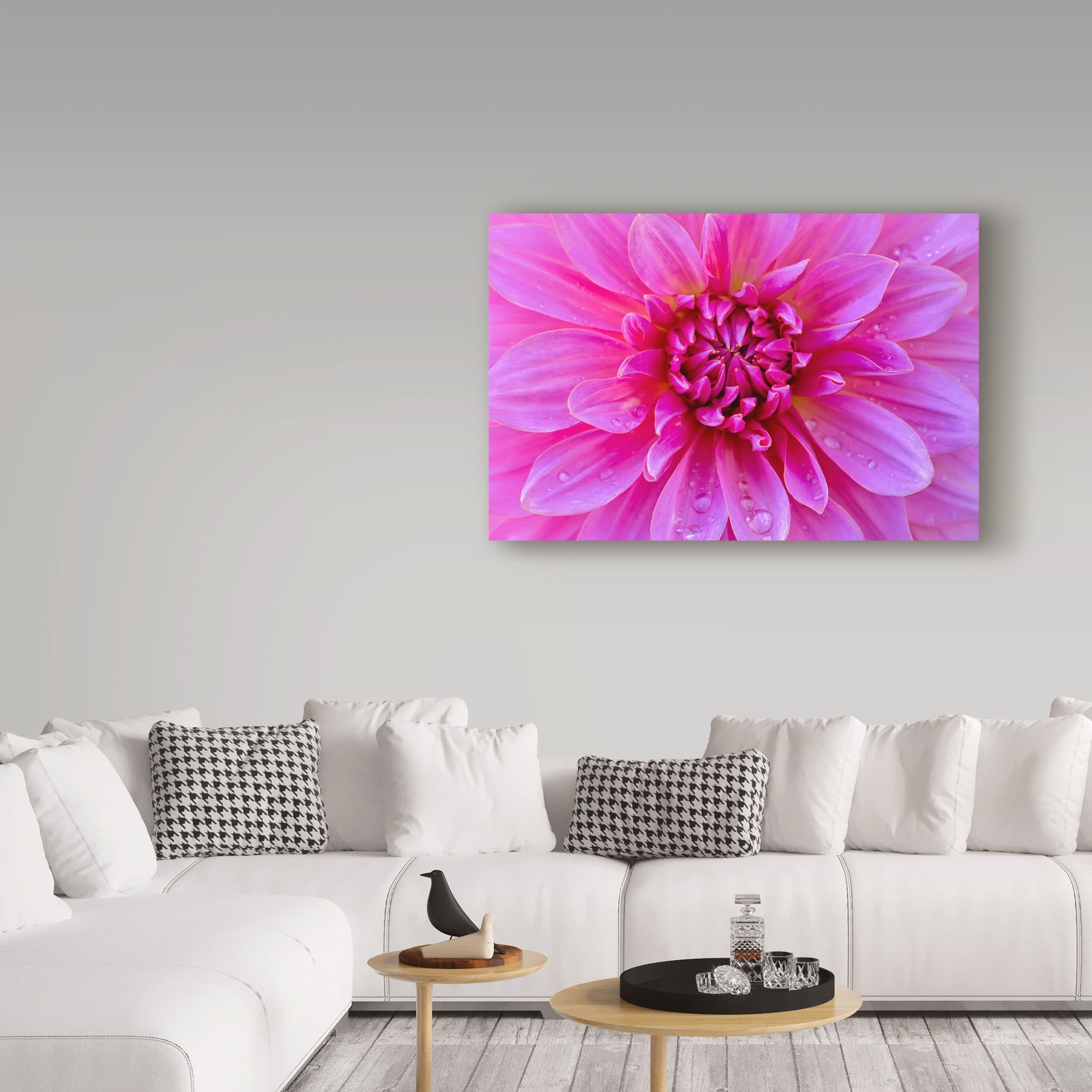 Trademark Fine Art 'Fuchia Pink Dahlia' Canvas Art by Cora Niele