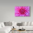 thumbnail image 3 of Trademark Fine Art 'Fuchia Pink Dahlia' Canvas Art by Cora Niele, 3 of 3