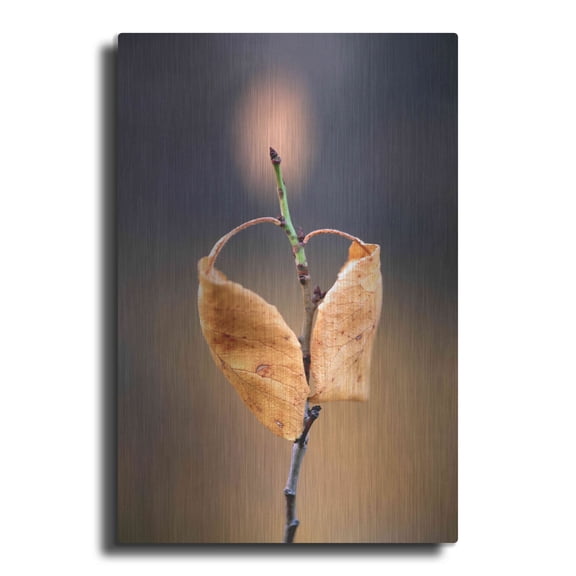 Luxe Metal Art 'Candle Plant' by Thomas Haney, Metal Wall Art, 16"x24"