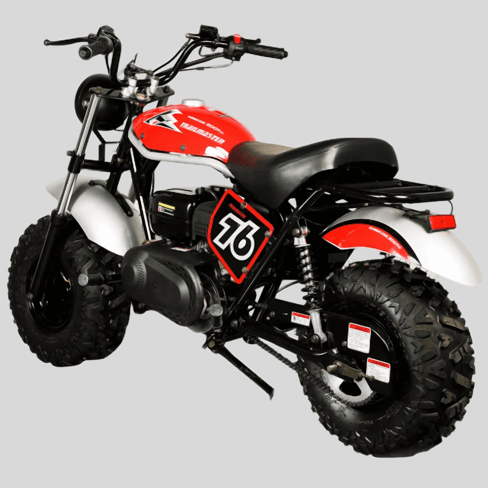 Trailmaster Hurricane 200 Pro Mini Bike, 196cc 4-Stroke Engine, Electric Start, Front & Rear Disc Brakes, LED Headlight, Max Speed 25 MPH (Black)