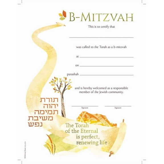 B-Mitzvah Gender Neutral Certificate 5-Pack (Other)