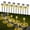 Warm White, variant on Ninonly 12 Pack Solar Garden Lights, IP65 Waterproof Solar Pathway Lights, Solar Landscape Lighting Lights