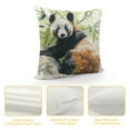 thumbnail image 4 of FUMJ Throw Pillow Covers, Red Panda Animal Cushion Case for Home Living Room Decor, Wildlife Style Decorative Throw Cushion Case, 4 of 5
