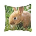 thumbnail image 1 of RYLABLUE Decorative Cute Little White Rabbit Keep Calm And Love Bunnies Zippered Pillowcase Size 18x18 inches Two Side, 1 of 1