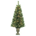 thumbnail image 2 of Celebrations 9044217 4 ft. Pencil Incandescent 35 Lights Northern Pine Entrance Tree, Clear, 2 of 2