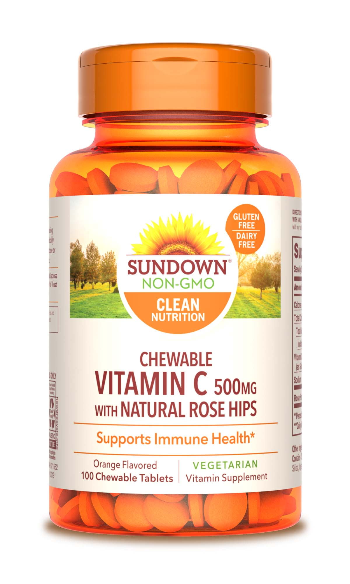 Sundown Naturals® Vitamin C 500 mg Orange w/ Rose Hips, 100 Chewable Tablets