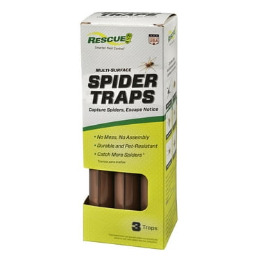 TERRO Indoor & Outdoor Spider & Insect Trap - 4 Traps for Hobo, Brown ...