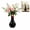 Black, variant on Handcrafted Resin Long Neck Chicken Vase, Colorful Cartoon Rooster Sculpture, 2-in-1 Flower Vase & Desk Decor, Lightweight Novelty Home Accent(Black)