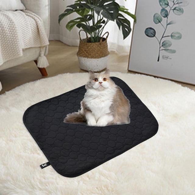 Alfombrilla de arena para gatos Colco Transpirable Antideslizante Grande Impermeable