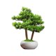 thumbnail image 1 of Adornos de bonsái de pino simulados y acogedores, bonsáis artificiales, plantas de escritorio, pequeñas plantas verdes, 1 of 3